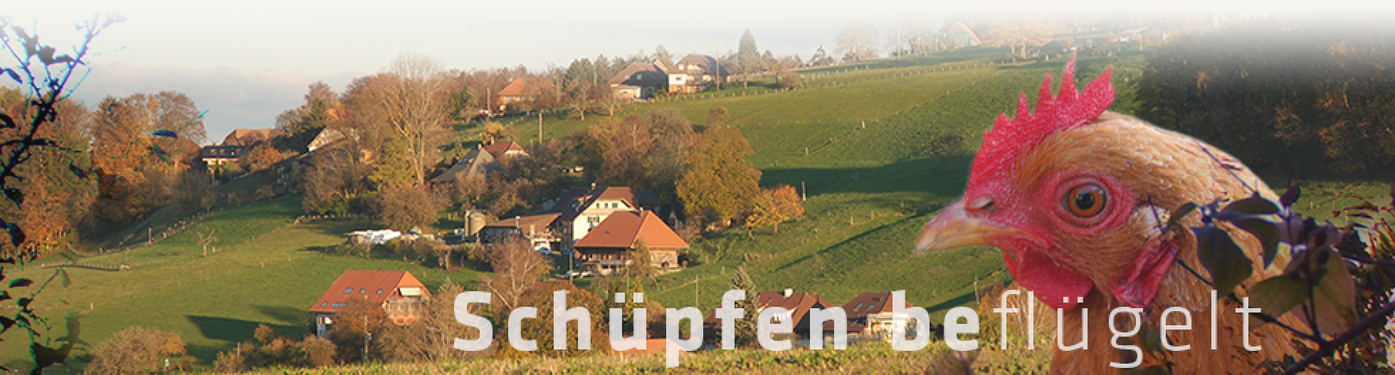 Schüpfen BE » Startseite