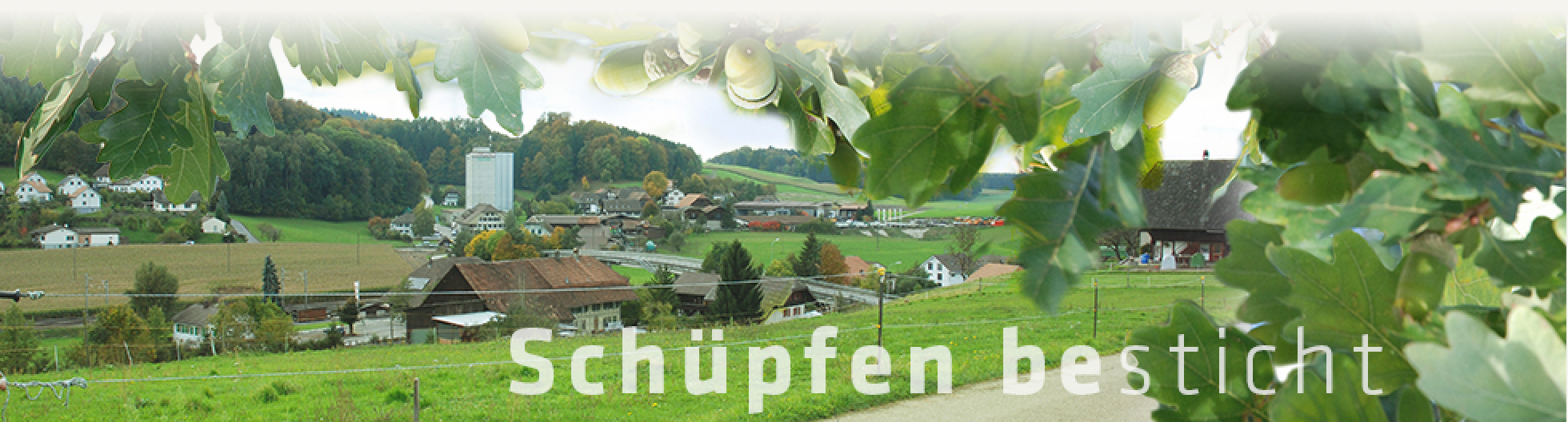 Schüpfen BE » Startseite